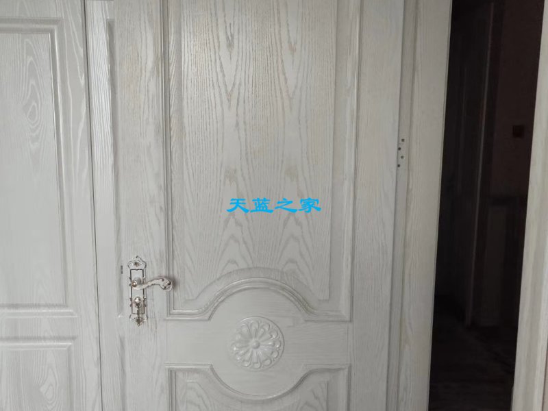 实木复合烤漆门(121)